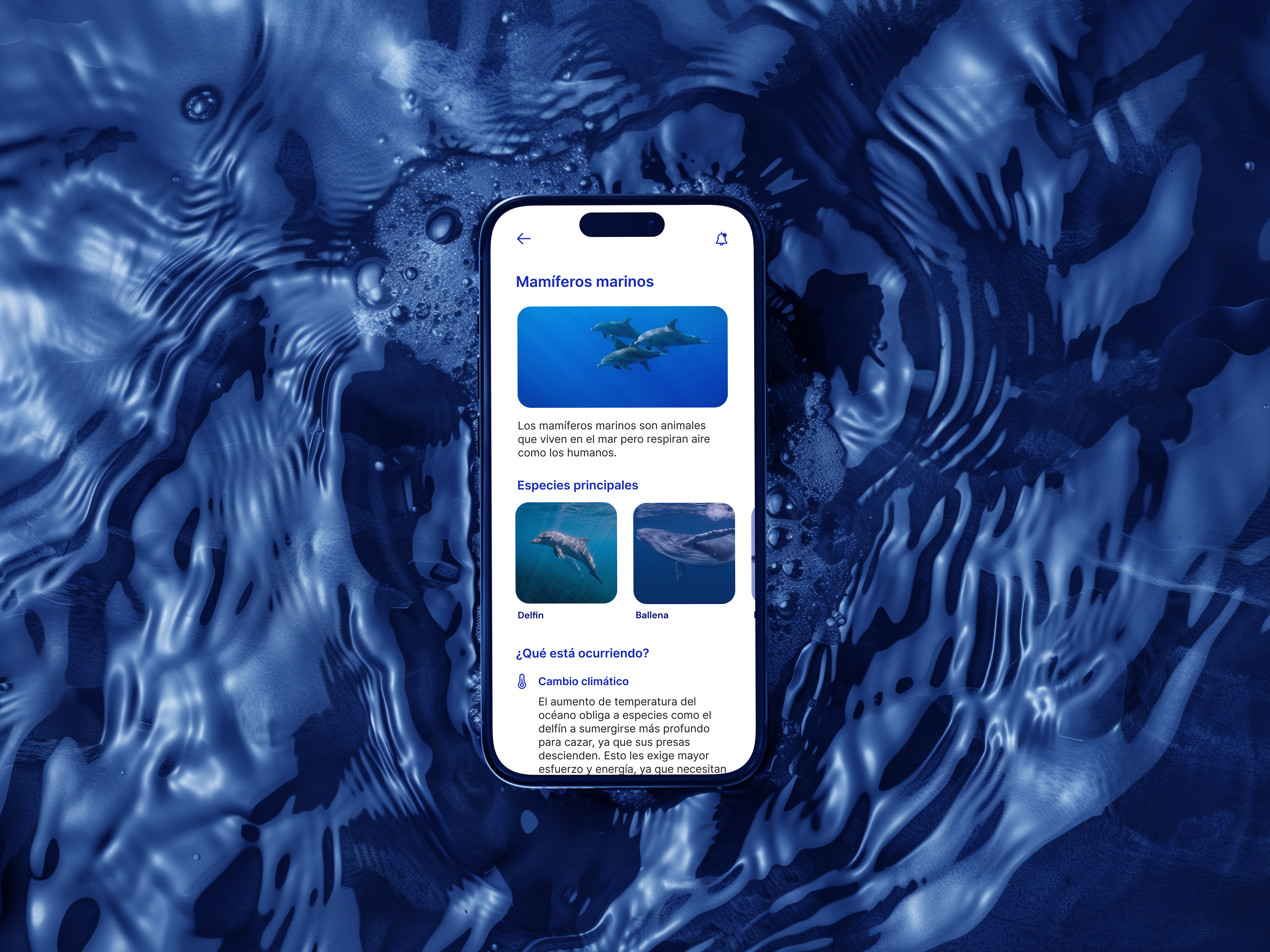 Hero image — project cover